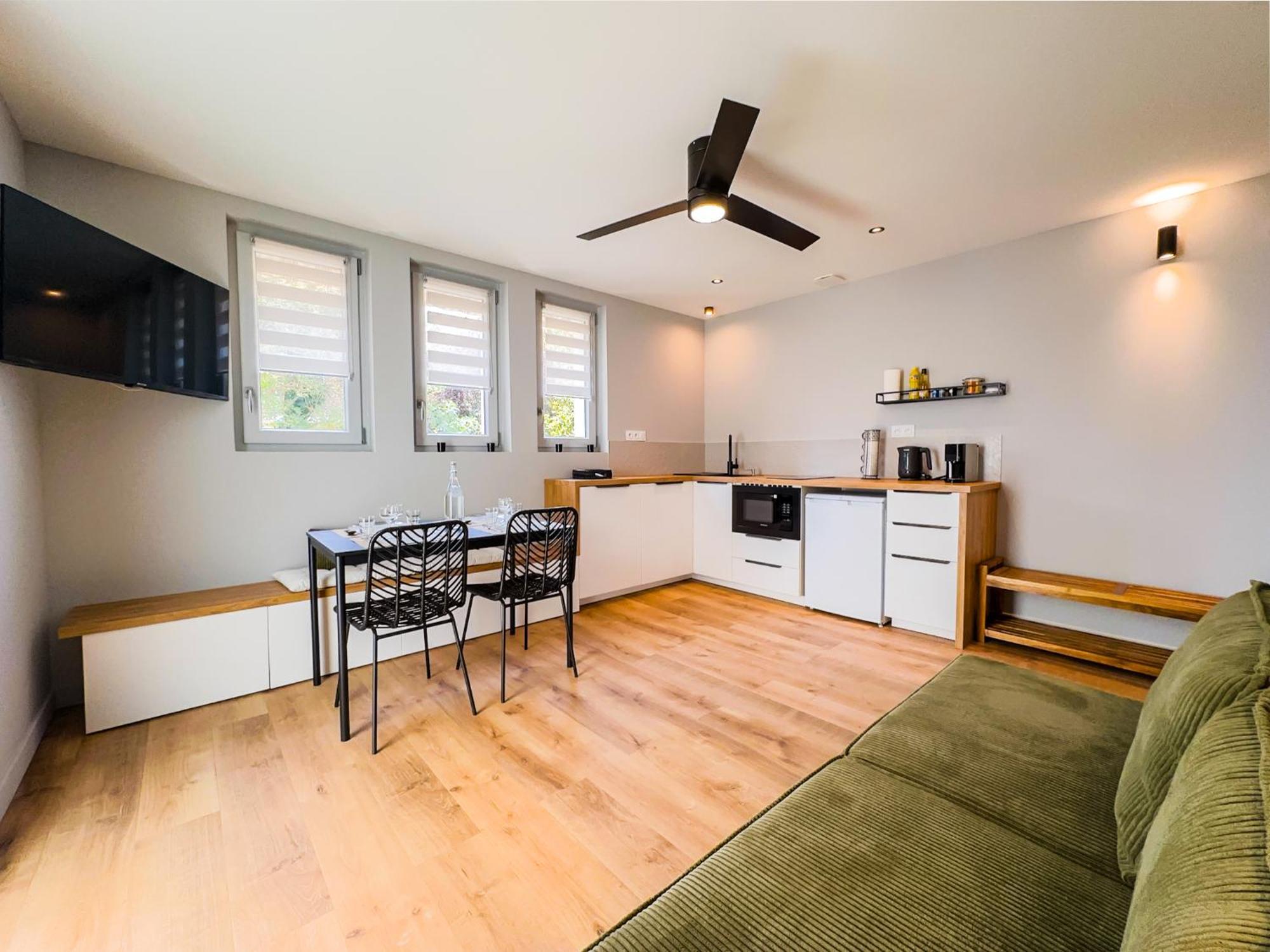 Serenity Apartment Venissieux
